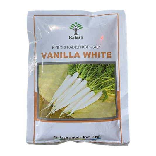 Kalash F1 Hybrid Vanilla White KSP 5481 Radish Seeds, Suitable For Winter Season