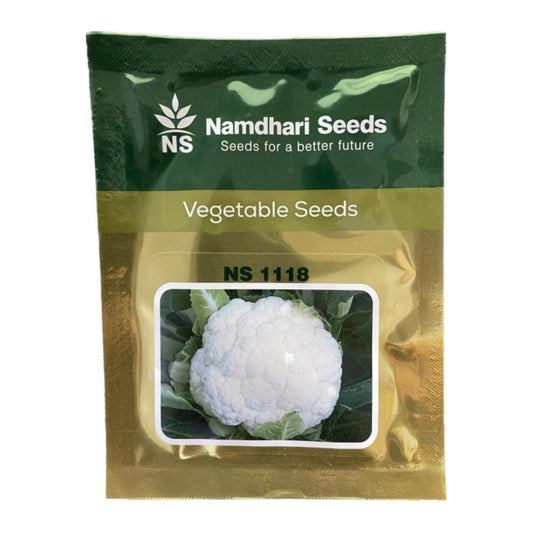 Namdhari NS 1118 F1 Hybrid Cauliflower Seeds, White Color And Dome Shaped
