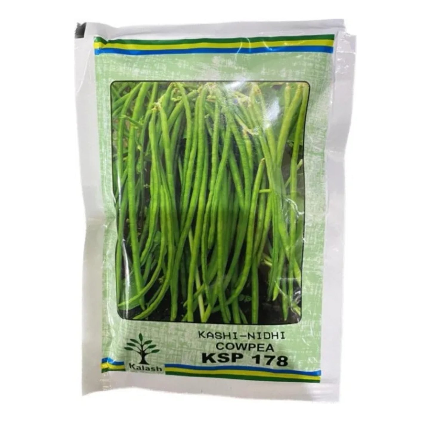Kalash Kashi Nidhi KSP 178 Cowpea Seeds, Bushy Plant With Dark Green Color