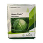 Seminis Green Flash Hybrid Cabbage Seeds, Dark Green Color, Round Shape Fruit and Early Maturity