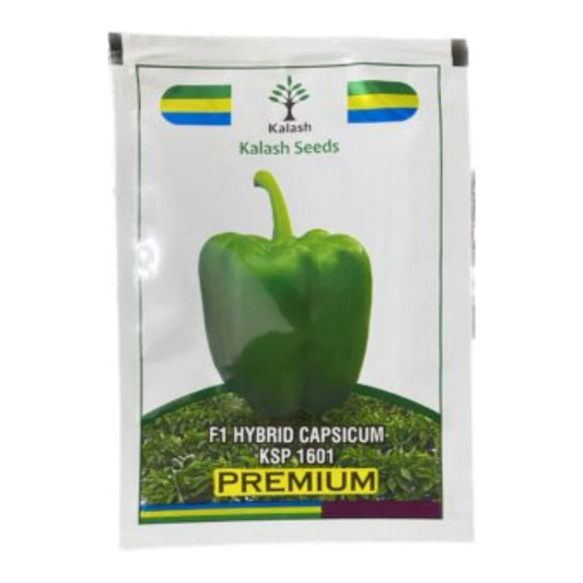 Kalash Hybrid F1 Premium Ksp 1601 Capsicum Seeds, Dark Green To Red Fruit Color