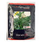US Agriseeds SW 017 Okra Bhindi Seeds , High Yield And Good Fruit Weight