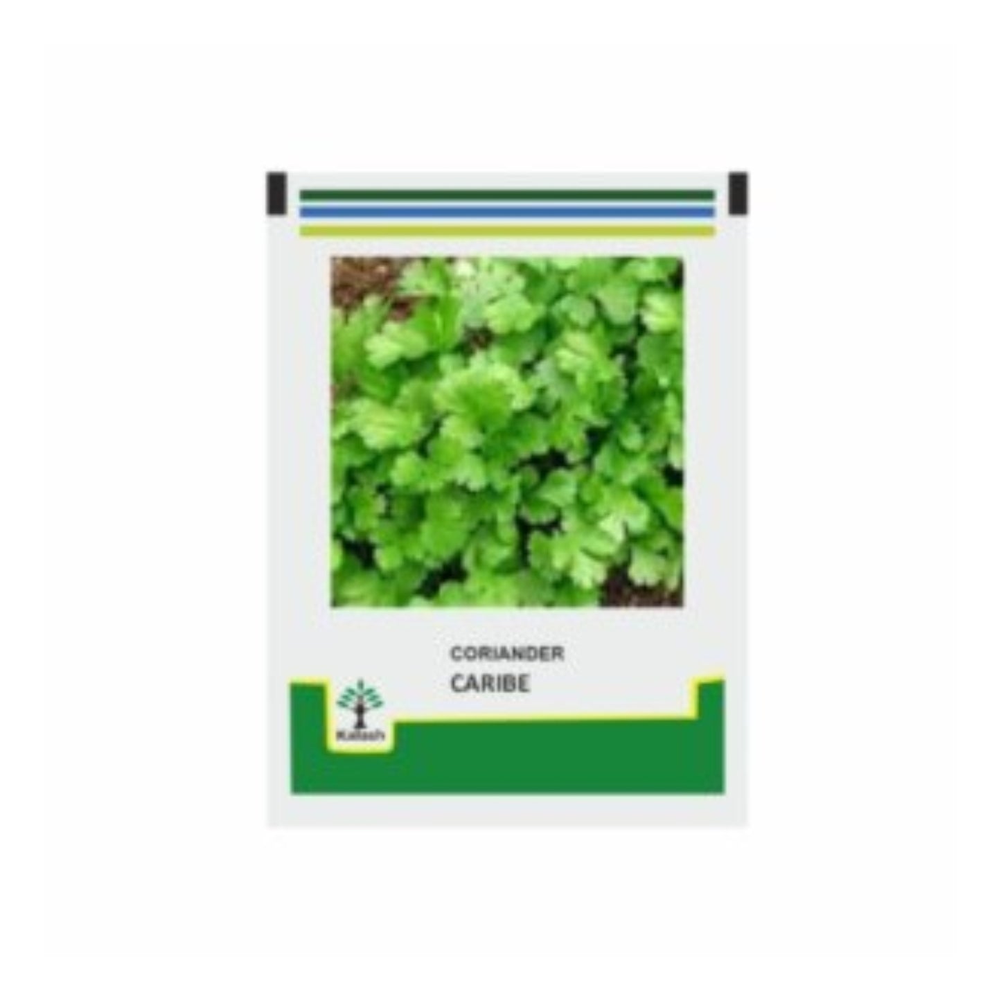 Kalash Coriander Caribe Seeds, Good Yielder, Good Broad Leaves Nice Aroma