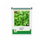 Kalash Coriander Caribe Seeds, Good Yielder, Good Broad Leaves Nice Aroma