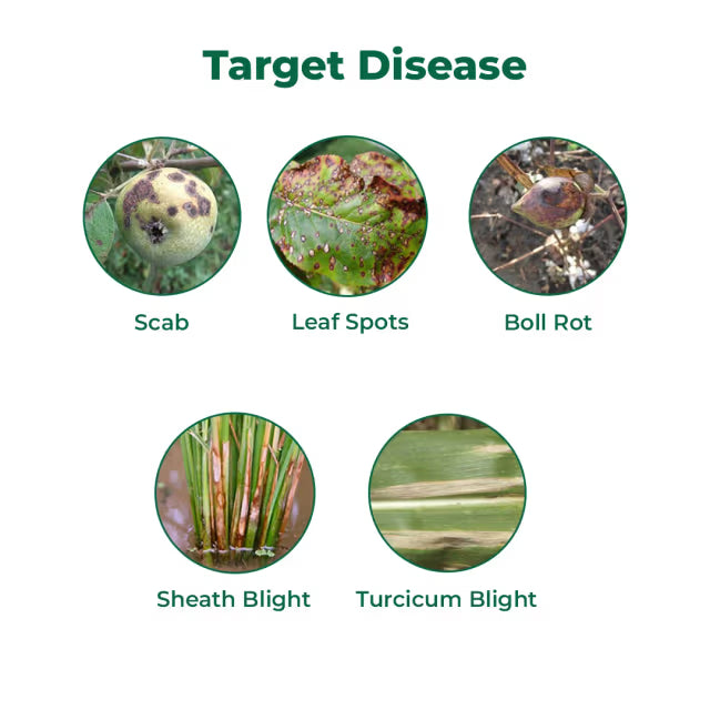 Indofil Avtar Fungicide