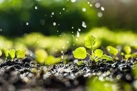 Aries Macrofert HD NPK 20:20:20 Highly Efficient at Lower Dosages, Multi-Purpose Fertilizer Can be Used In All Crops, Vegetables, Kitchen Gardens, etc
