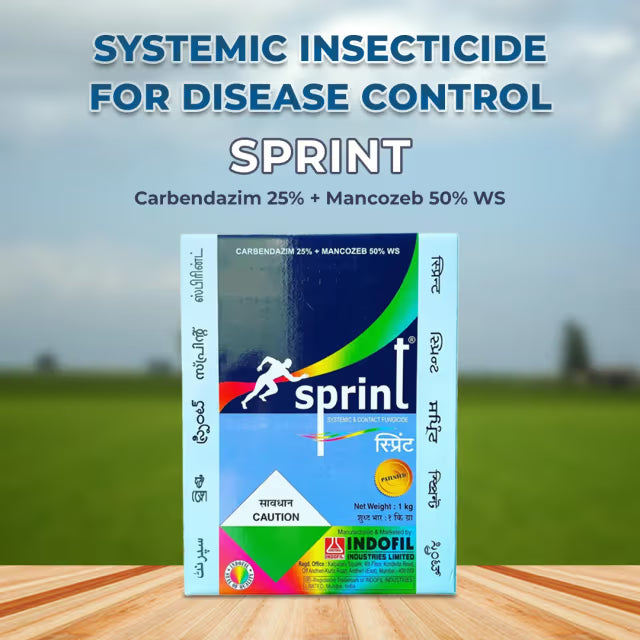Indofil Sprint Carbendazim 25% + Mancozeb 50% WS, Broad-spectrum contact and systemic fungicide.