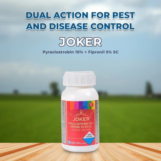 Gharda Joker Pyraclostrobin 10% + Fipronil 5% SC, Target Insect Pests In Chili and Rice