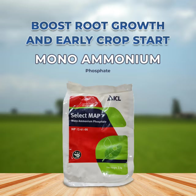 ICL Select MAP NP 12:61:0 - Mono Ammonium Phosphate