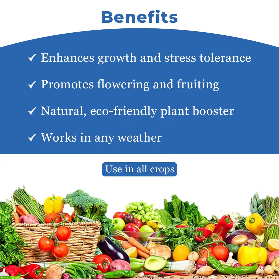 Acadian Goldstar Biostimulant, Ascophyllum Nodosum Seaweed Extract, Enhances Abiotic Stress Of Plant