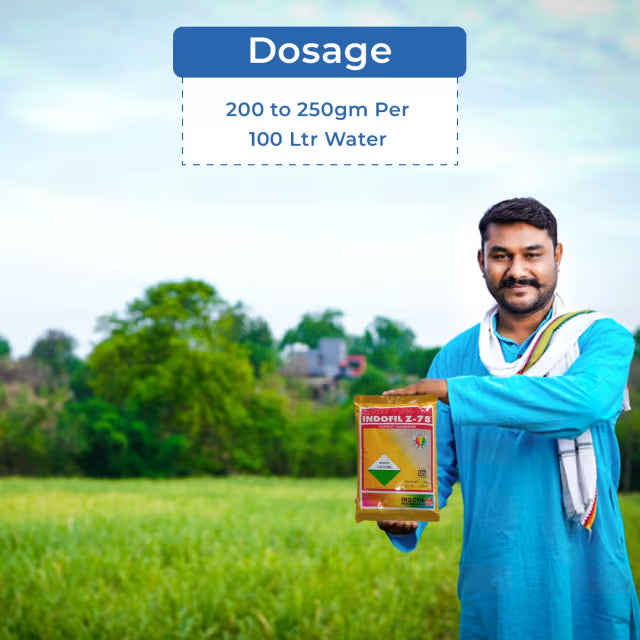 Indofil Z-78 Zineb 75% WP, An Unique Broad Spectrum Fungicides with Zinc Nutrition.