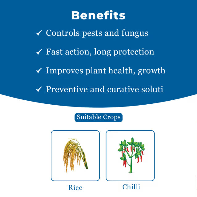 Gharda Joker Pyraclostrobin 10% + Fipronil 5% SC, Target Insect Pests In Chili and Rice