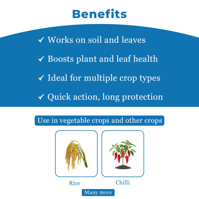 Gharda Tipsy Azoxystrobin 10% + Fipronil 5% Sc Fungicide + Insecticide. Used for Control Fruit Borer, Powdery Mildew, Sheath Blight, Plant Hopper etc.