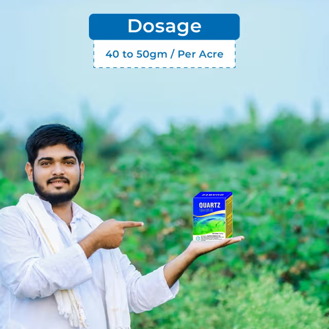 Gharda Quartz Fipronil 80% WG Insecticide, Effective Control Of Stem Borer and Leaf Folder In Rice