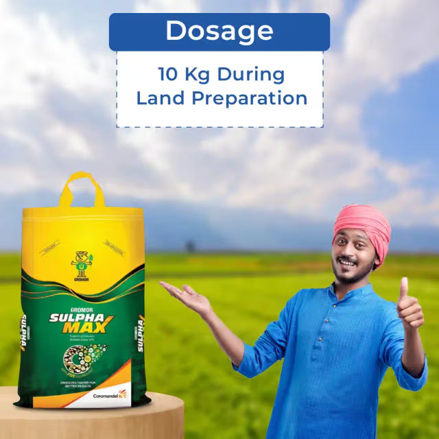 Coromandel Gromor Sulphamax Fertilizer, Faster Release Of Sulphur, Improves Quantity and Quality of Yield