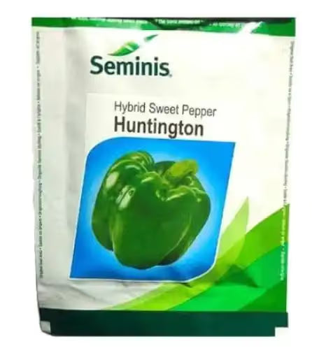 Seminis Hybrid Sweet Pepper Huntington, Capsicum Seeds, Short Bushy Plants with Leaves.