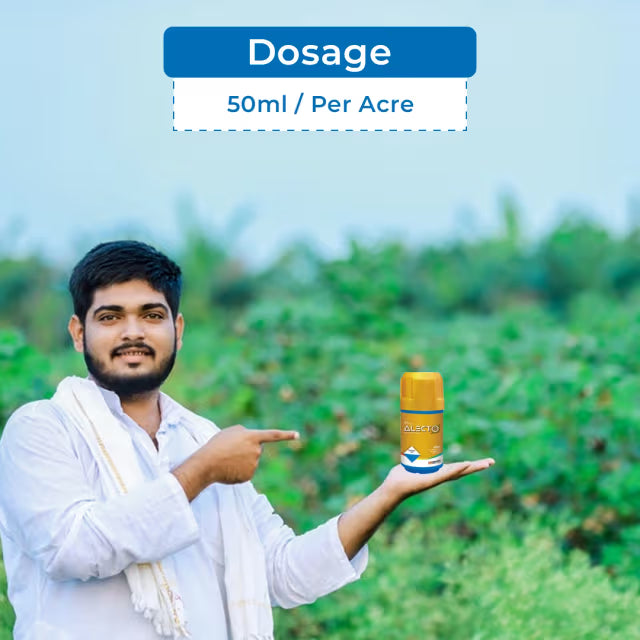 Indofil Alecto Broflanilide 20% SC Contact and Translaminar Insecticide, Control On Lepidopteran Pests