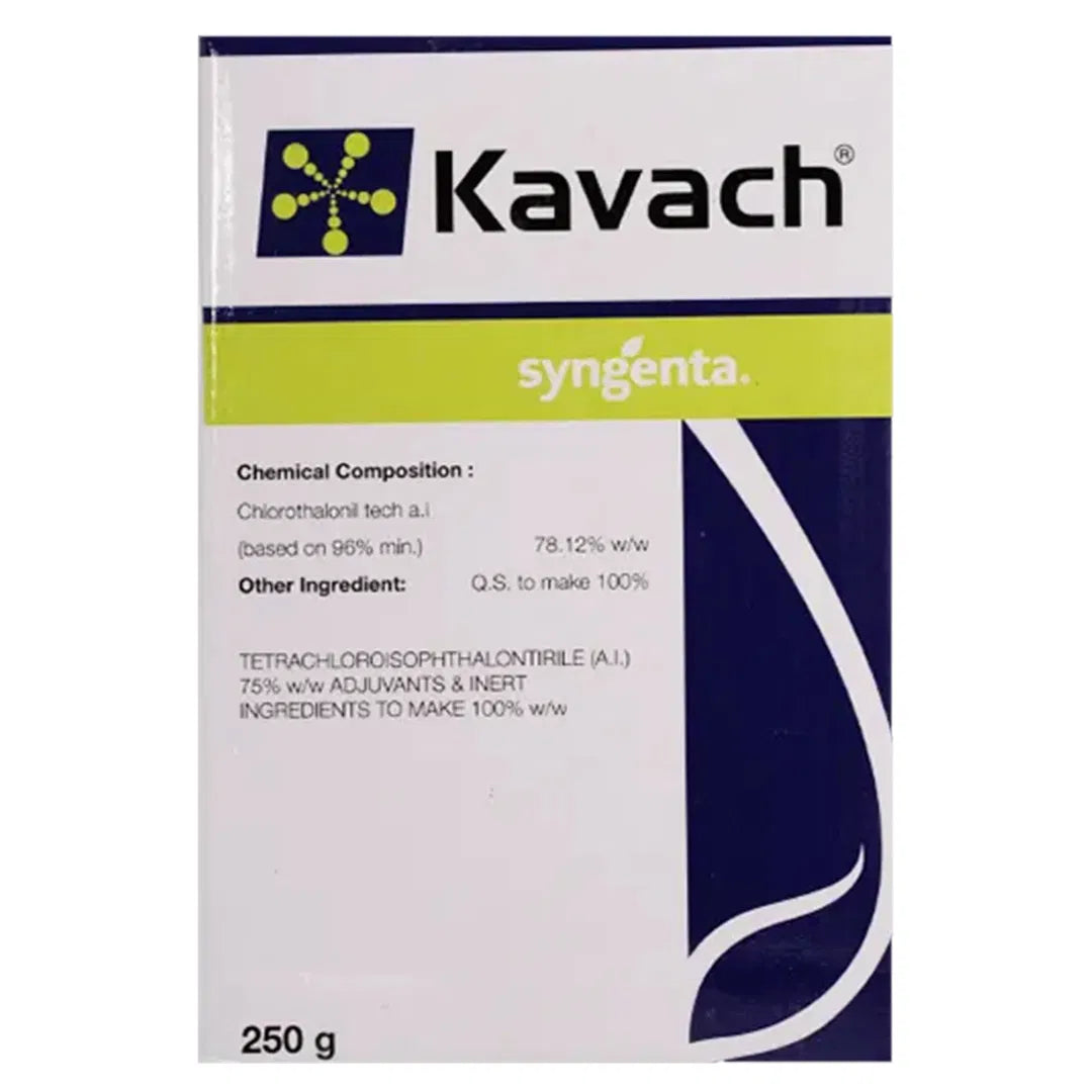 Syngenta Kavach Chlorothalonil 75% WP Broad Spectrum Contact Fungicide, Effective Against Anthracnose, Fruit Rots, Rusts, Downey Mildew, Blight etc.,