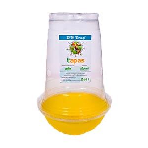 Product 10