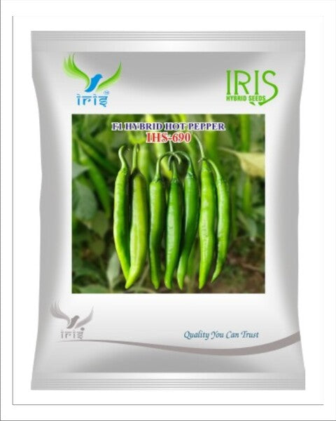 Product 12