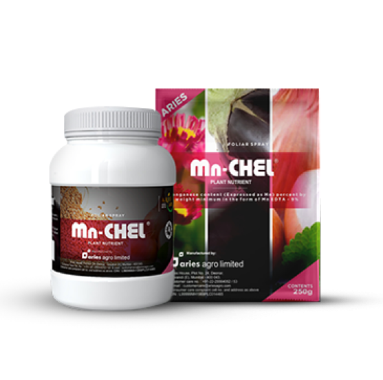 Aries Mn Chel