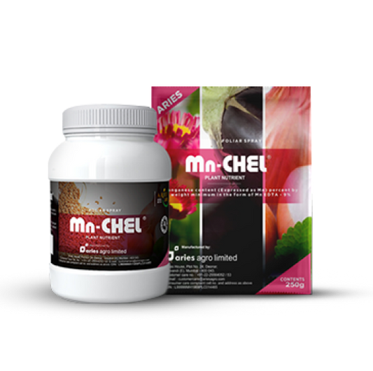 Aries Mn Chel